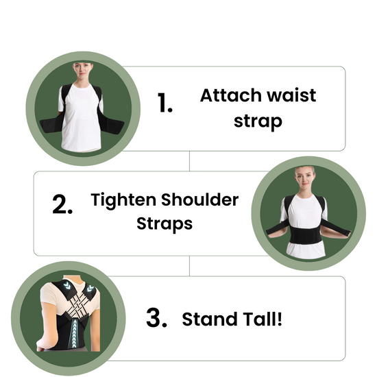 Types of Posture (Static vs. Dynamic) – BackSavvy™